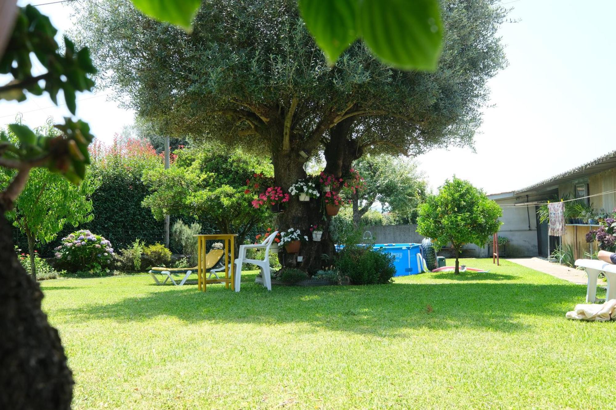 Quintinha D'Avo Bed & Breakfast Vila de Prado ภายนอก รูปภาพ