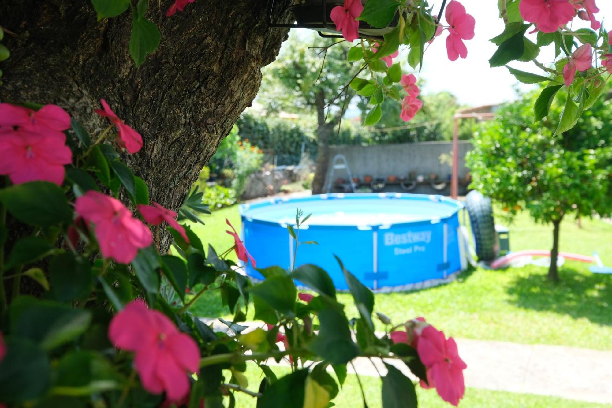 Quintinha D'Avo Bed & Breakfast Vila de Prado ภายนอก รูปภาพ